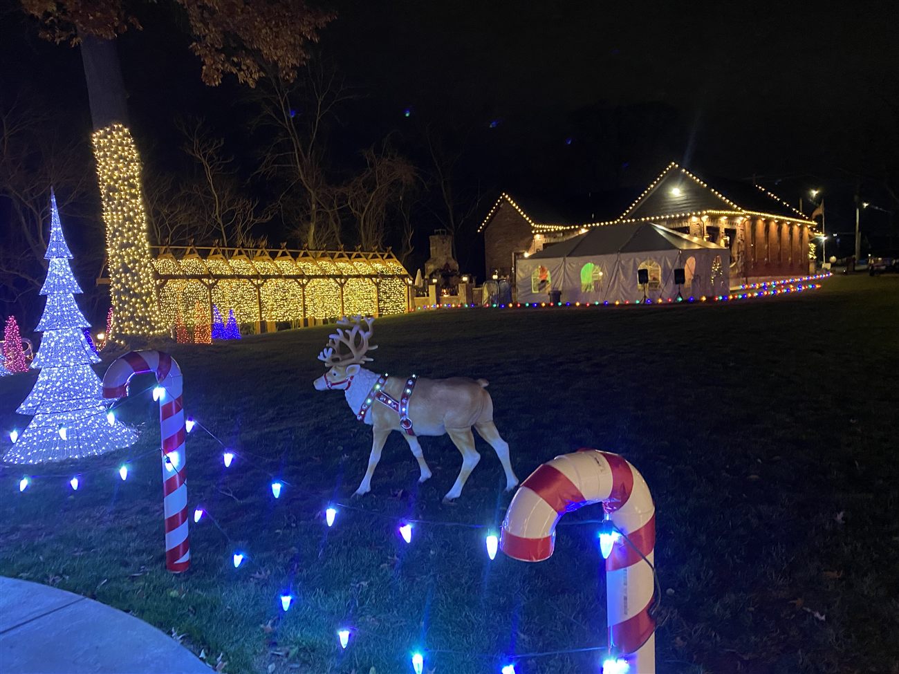 Residential Holiday Lighting thumbnail